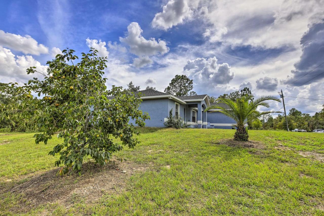 Ocala Casa Azul 7 Mi To World Equestrian Center Villa Ngoại thất bức ảnh